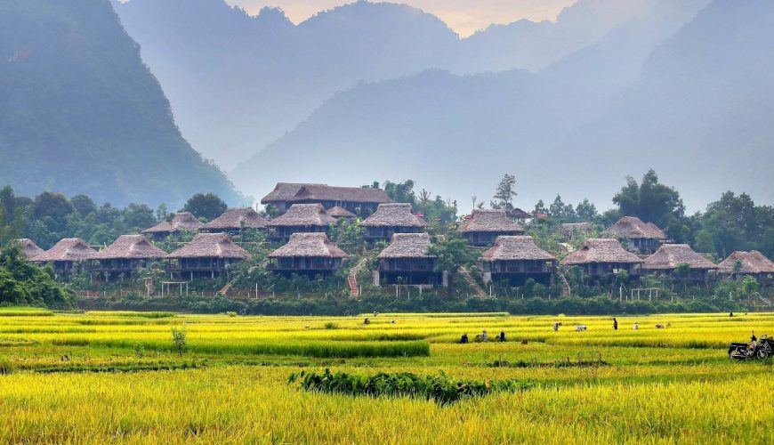 hatvacation-tour-mai-chau-rice-paddy