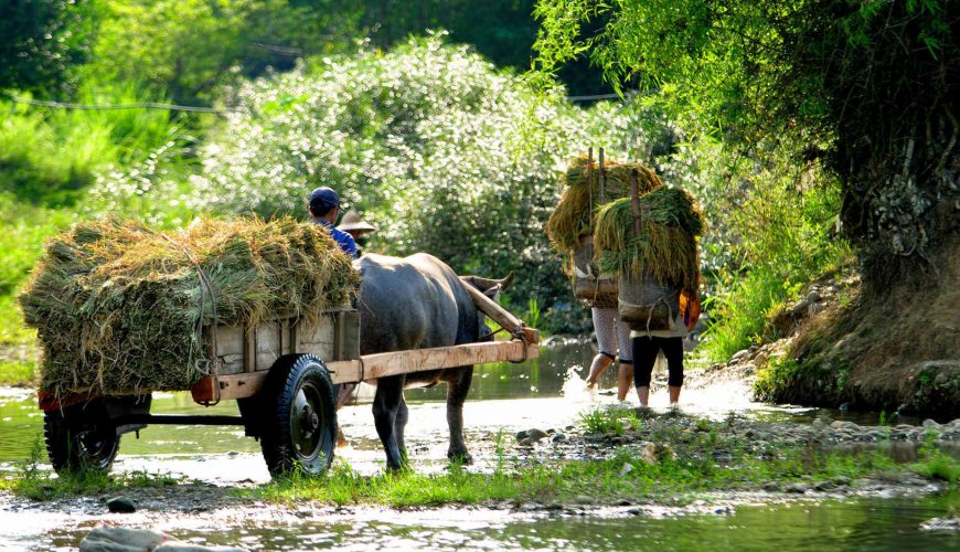 Local travel, off the beaten track, homestay, cruise tours, trekking tours, cycling tours, vacations, and all-inclusive resorts in Vietnam, Cambodia, and Laos.