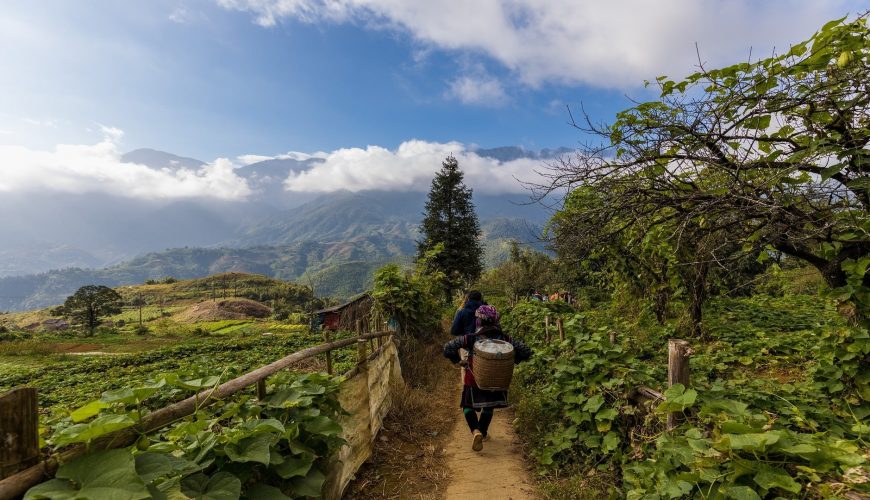 hatvacation.com, Vietnam trekking tour, Sapa trekking tour