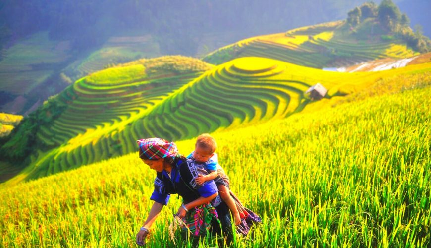 hatvacation-dot-com-sapa-trekking-tour-rice-terraces