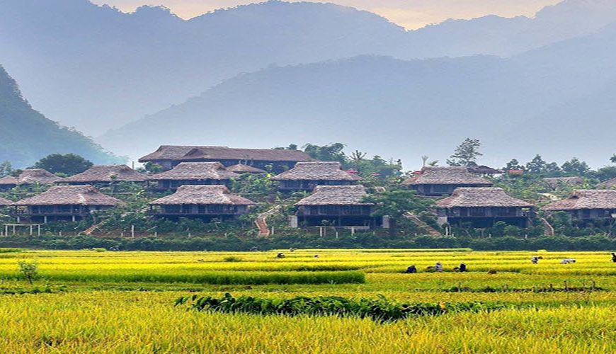 hatvacation-dot-com-mai-chau-rice-paddy